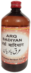 Dehlvi Arq Badiyan