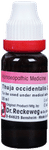 Dr. Reckeweg Thuja Occi Mother Tincture Q