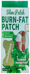 Agarwals Slim Burn-Fat, Weight Loss Arm Slimming Moxibustion Patch(10 Each)