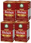 Deemark Shilajit Gold with Kesar (45 Each)