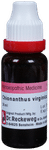 Dr. Reckeweg Chionanthus V Mother Tincture Q
