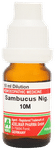 ADEL Sambucus Nig Dilution 10M