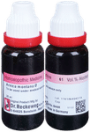 Dr. Reckeweg Arnica Mont Mother Tincture Q
