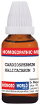 Dr. Majumder Homeo World Cardiospermum Halicacabum Dilution (30ml Each) 3 CH