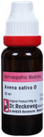 Dr. Reckeweg Avena Sat Mother Tincture Q