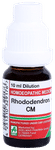 ADEL Rhododendron. Dilution CM