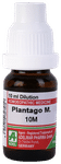 ADEL Plantago M. Dilution 10M