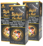 Biolife Shilajit Plus Malt (400ml Each)