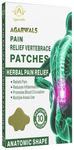 Agarwals Pain Relief Lumbar Vertebrace Herbal Patch (10 Each)