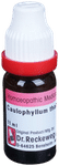 Dr. Reckeweg Caulophyllum Dilution 30 CH