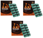 Day's Shilajit Capsule (30 Each)