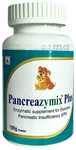 Genext Pet Pancreazymix Plus Powder