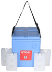 Fairbizps Vaccine Carrier Box 1.67L Capacity with 4 Ice Pack Inside Box Blue