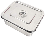 Agarwals Instrument Tray  10x6inch