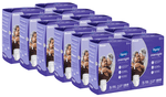 Dignity Overnight Pull-Ups Diaper (10 Each) XL-XXL