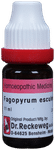Dr. Reckeweg Fagopyrum Dilution 30 CH
