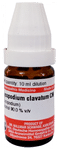 Dr Willmar Schwabe Germany Lycopodium Clavatum Dilution CM