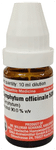 Dr Willmar Schwabe Germany Symphytum Officinale Dilution 50M