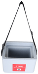 Fairbizps Vaccine Carrier Box 0.9L Capacity with 2 Ice Pack Inside Box Grey