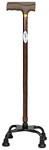 Entros KL934 4 Leg Color Coated Straight Walking Stick