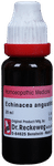 Dr. Reckeweg Echinacea Ang Mother Tincture Q