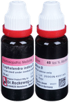 Dr. Reckeweg Cephalandra Mother Tincture Q