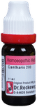 Dr. Reckeweg Cantharis Dilution 200 CH