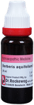 Dr. Reckeweg Berberis Aquif Mother Tincture Q