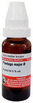 Dr Willmar Schwabe Germany Plantago Major Mother Tincture Q