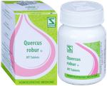 Dr Willmar Schwabe India Quercus Robur Trituration Tablet 1X