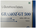 Gramoz-GT 500 Tablet