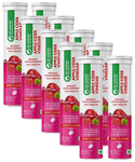 Dr. Vaidya's Apple Cider Vinegar Effervescent Tablets (15 Each)