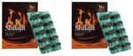 Day's Shilajit Capsule (30 Each)