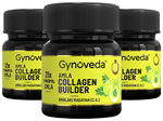 Gynoveda Amla Collagen Builder Amalaki Rasayan Tablet (60 Each)