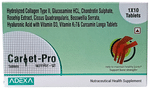 Carlet-Pro Tablet