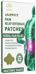 Agarwals Pain Relief Lumbar Vertebrace Herbal Patch (10 Each)