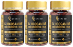 Anupurak Glucosamine Chondroitin+MSM Tablet (90 Each)