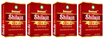 Deemark Shilajit Gold with Kesar Capsule (10 Each)
