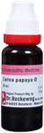 Dr. Reckeweg Carica Papaya Mother Tincture Q | For Liver Care Mother Tincture Q