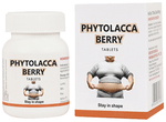 Bakson's Homoeopathy Phytolacca Berry Tablet