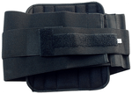 Care Lumbo Sacro Support Pressure PlateLumbar Sacral (Lumbo Sacro) Belt With Pressure Plate ,Double Lock Universal