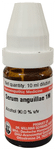 Dr Willmar Schwabe Germany Serum Anguillae Dilution 1M