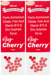 Gsg Cherry Syrup (300ml Each)