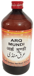 Dehlvi Arq Mundi