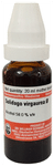 Dr Willmar Schwabe Germany Solidago Viraurea Mother Tincture Q