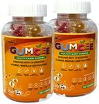 Gumcee Multivitamin Gummies with 15 Essential Vitamins (30 Each) Mix Fruit
