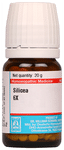 Dr Willmar Schwabe Germany Silicea Tablet 6X