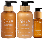 Beauty Garage Combo Pack of Shea Retention Treatment Shampoo (300ml), Retention Treatment Conditioner (300ml) & Retention Treatment Hair Oil (50ml)