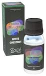 Alfa Omega Bach Flower White Chestnut 6X