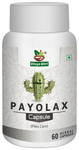 Divya Shri Payolax Capsule for Piles Care
